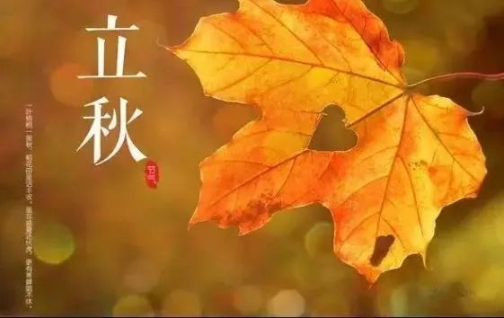 微信图片_20230803094930_1.jpg