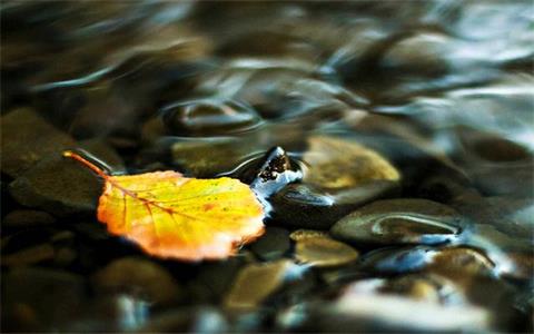 0a8f13dd-7426-4156-a9a7-878fa2cd4d57.jpg